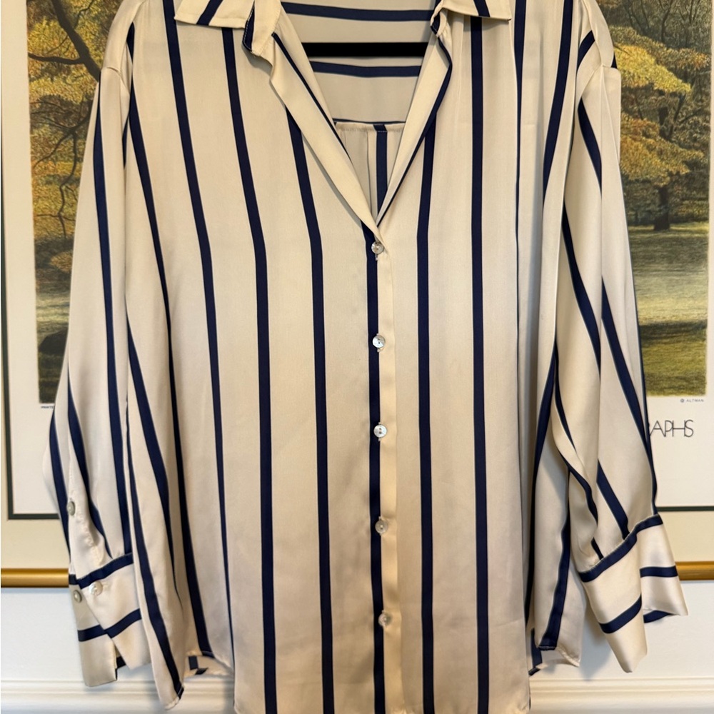 Zara Navy and Cream Striped Casual Shirt